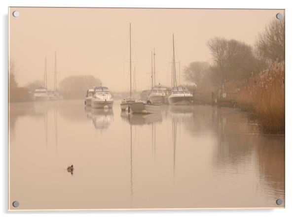 Wareham Quay Mist Acrylic by David Neighbour
