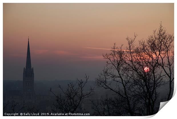 Red Sunset at Norwich Cathedral  Print by Sally Lloyd
