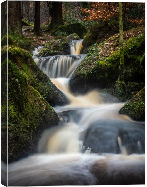Series of small waterfalls on the river Canvas Print by George Robertson