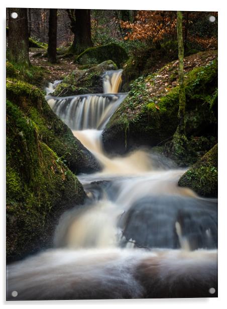 Series of small waterfalls on the river Acrylic by George Robertson