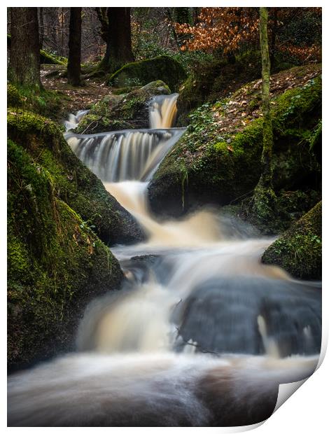 Series of small waterfalls on the river Print by George Robertson