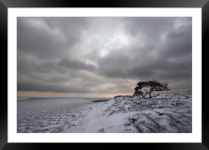 Winter at Quarry Hill Framed Mounted Print by David Neighbour
