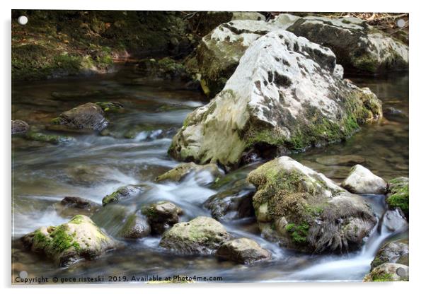rocks and creek water spring season Acrylic by goce risteski