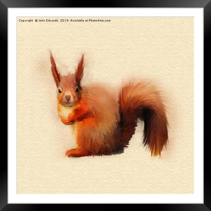 Red Squirrel (Sciurus vulgaris)   Framed Mounted Print by John Edwards