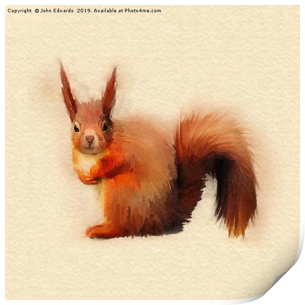 Red Squirrel (Sciurus vulgaris)   Print by John Edwards