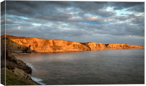 South Wales Heritage Coast Canvas Print by Leighton Collins