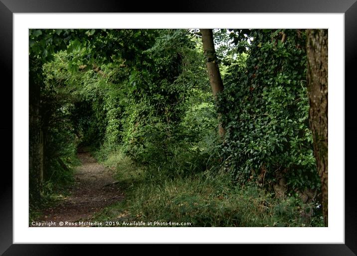 Enchanting Woodland Trail Framed Mounted Print by Ross McNeillie