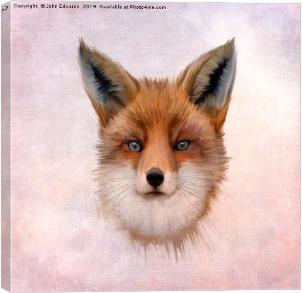 Red Fox (Vulpes vulpes) Canvas Print by John Edwards