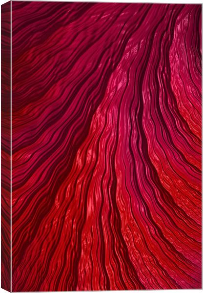 Endless Red Energy Canvas Print by Steve Purnell
