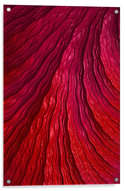 Endless Red Energy Acrylic by Steve Purnell