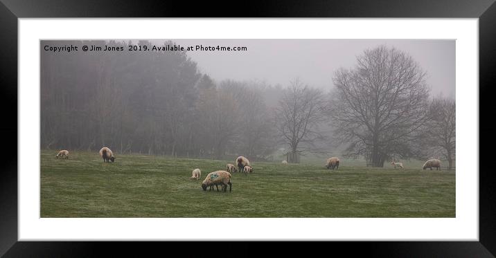 Sheep grazing in foggy Northumberland Framed Mounted Print by Jim Jones