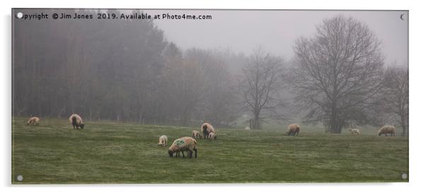 Sheep grazing in foggy Northumberland Acrylic by Jim Jones