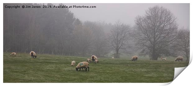 Sheep grazing in foggy Northumberland Print by Jim Jones
