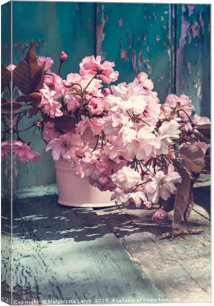 Beautiful japanese cherry flowers in the vase Canvas Print by Malgorzata Larys