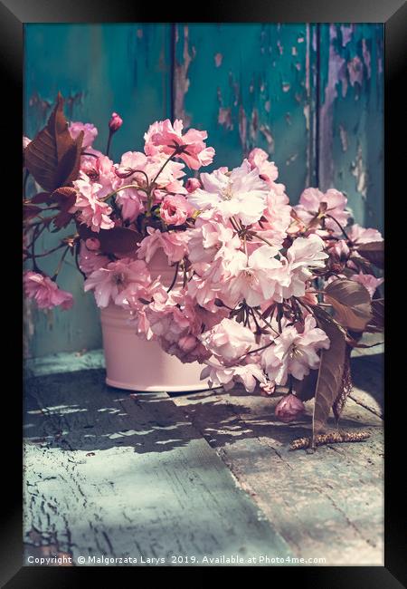 Beautiful japanese cherry flowers in the vase Framed Print by Malgorzata Larys