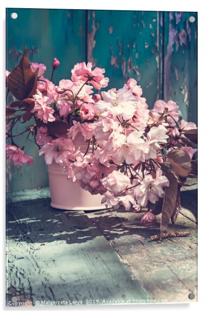 Beautiful japanese cherry flowers in the vase Acrylic by Malgorzata Larys
