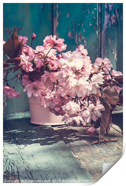 Beautiful japanese cherry flowers in the vase Print by Malgorzata Larys