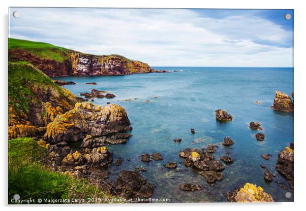St Abbs cliffs, Scotland Acrylic by Malgorzata Larys