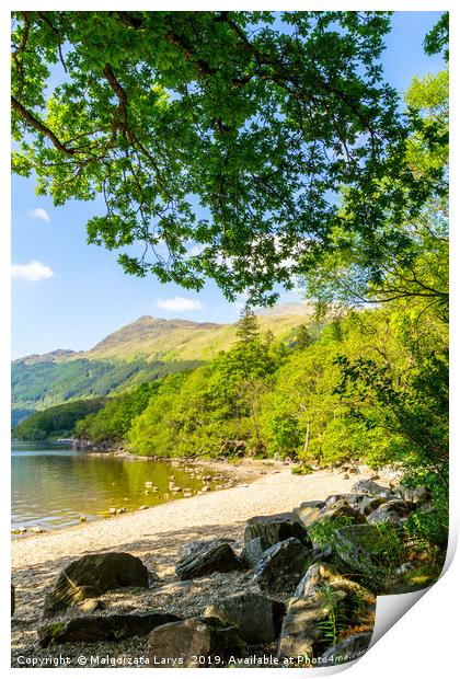 Loch Lomond at rowardennan, Summer in Scotland, UK Print by Malgorzata Larys