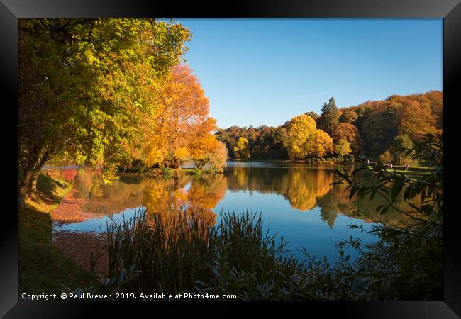 The beautiful gardnes at Stourhead Wiltshire Framed Print by Paul Brewer
