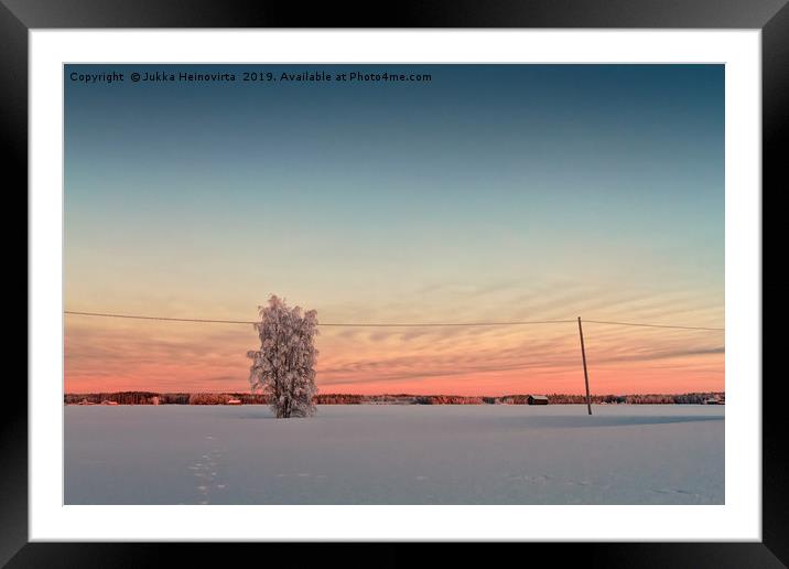 Snow Covered Tree In The Sunset Framed Mounted Print by Jukka Heinovirta