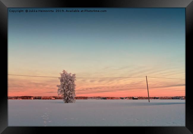 Snow Covered Tree In The Sunset Framed Print by Jukka Heinovirta