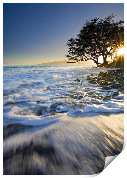 Swept out to Sea Print by Mike Dawson