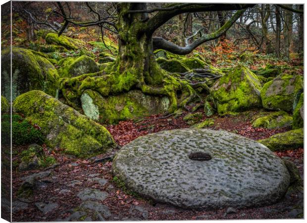 Old Millstone on the forest floor Canvas Print by George Robertson