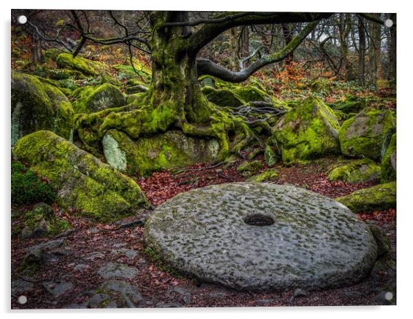 Old Millstone on the forest floor Acrylic by George Robertson
