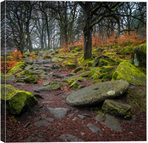 Old Millstone beside path in Padley Gorge woods Canvas Print by George Robertson