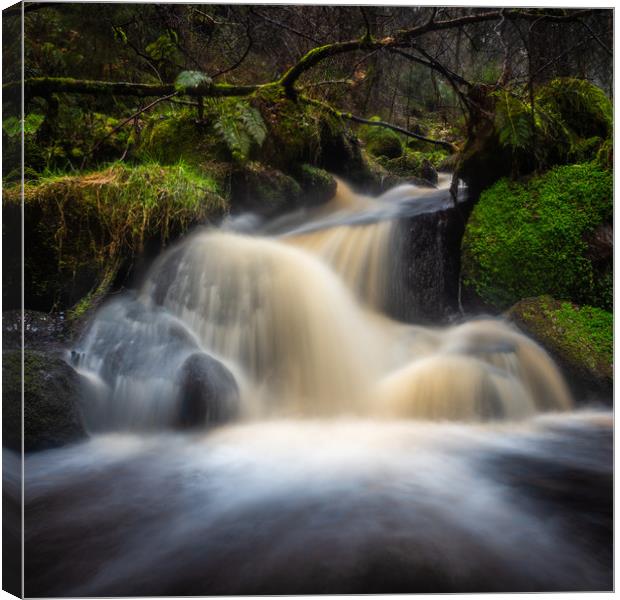 Waterfalls on a small brook Canvas Print by George Robertson