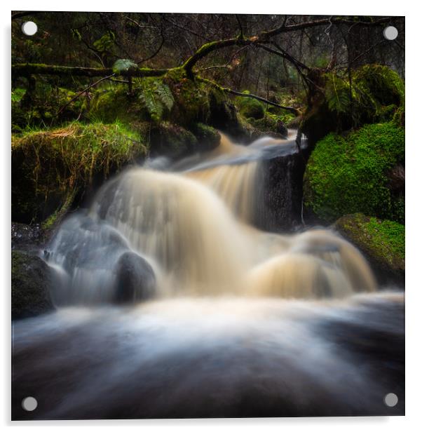 Waterfalls on a small brook Acrylic by George Robertson