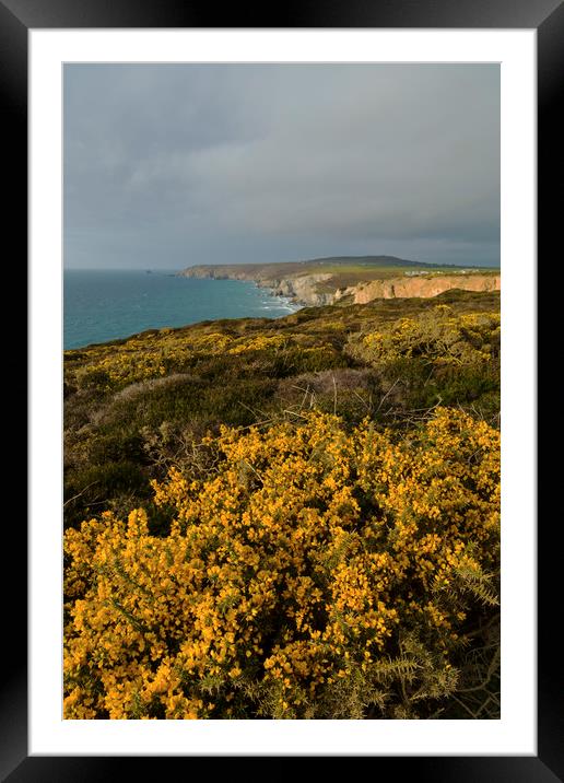 Coastal Colour Framed Mounted Print by CHRIS BARNARD