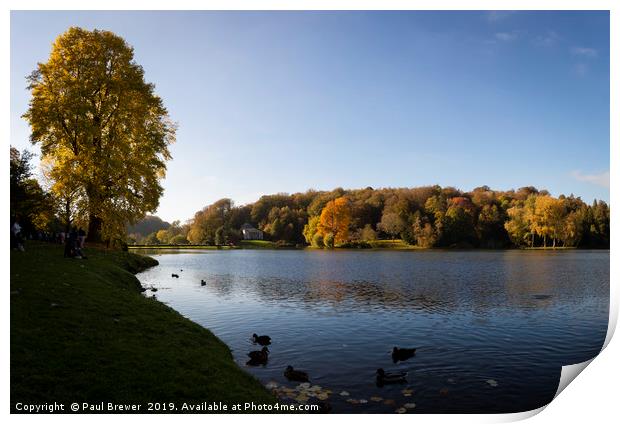 Stourhead in Wiltshire in Autumn Print by Paul Brewer