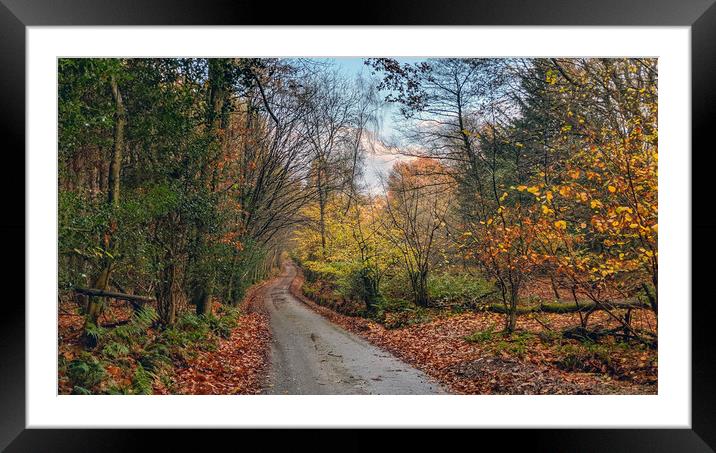 Autumn on the Weald Framed Mounted Print by Richard May