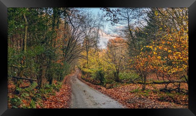 Autumn on the Weald Framed Print by Richard May