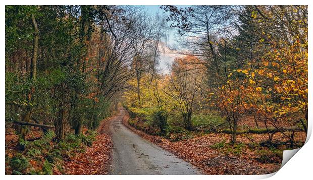 Autumn on the Weald Print by Richard May