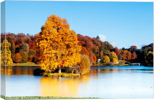 Stourhead Trees in Wiltshire Canvas Print by Paul Brewer