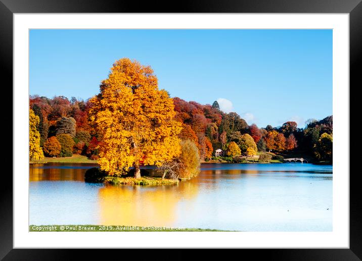 Stourhead Trees in Wiltshire Framed Mounted Print by Paul Brewer