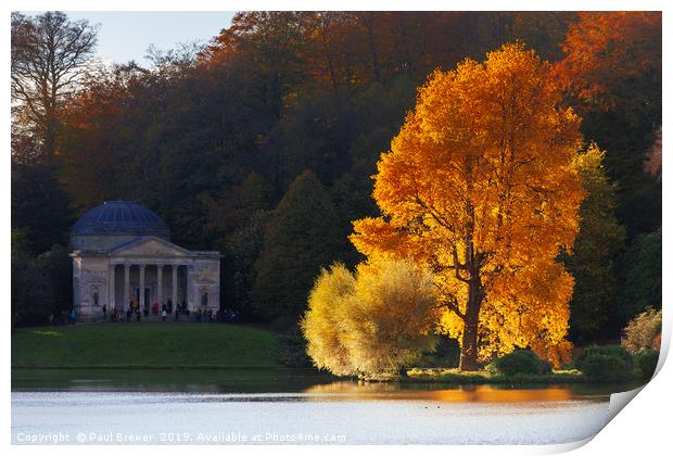 Stourhead Wiltshire Print by Paul Brewer