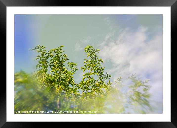 Artistic Spring background with special blur effec Framed Mounted Print by Malgorzata Larys