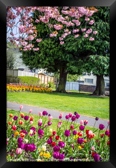 Lennox Town, Scotland.  Framed Print by Malgorzata Larys