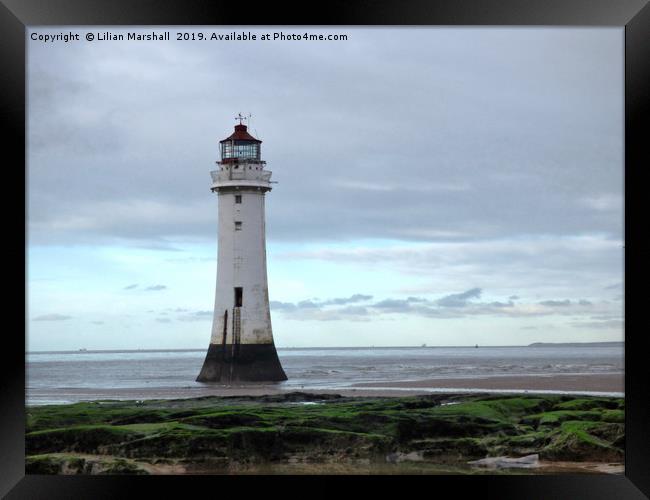 Perch Rock lighthouse.  Framed Print by Lilian Marshall