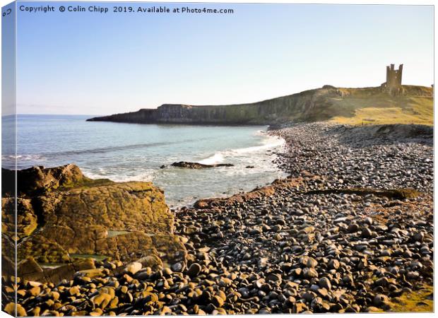 Dunstanburgh in Spring sunshine Canvas Print by Colin Chipp