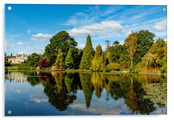 Reflections at Sheffield Park Acrylic by Nick Hunt