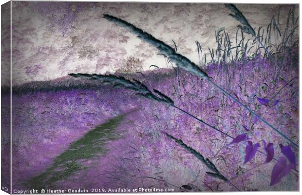 Grasses Canvas Print by Heather Goodwin