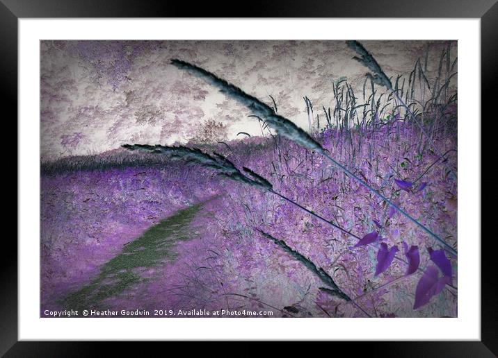 Grasses Framed Mounted Print by Heather Goodwin