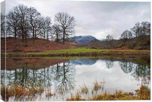 Reflections after Winter Canvas Print by David McCulloch