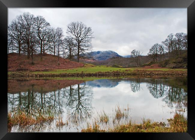 Reflections after Winter Framed Print by David McCulloch