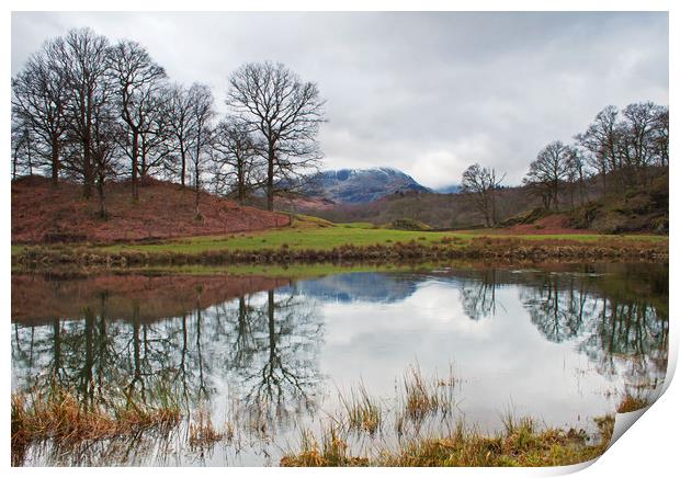 Reflections after Winter Print by David McCulloch
